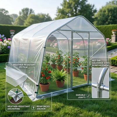 8m x 30m Hot Dip Galvanized Steel Tunnel Greenhouse 200 Micron UV Resistant PE Film Cover